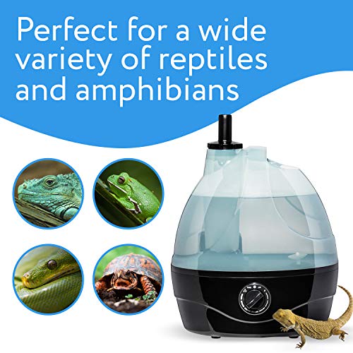 FOGGSTER 2L Reptile Humidifier and Fogger for Terrariums Amphibians and Enclosures (Holds 2L of Water)